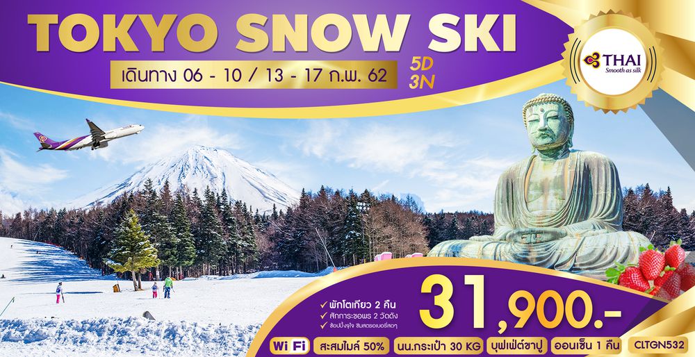 ทัวร์ญี่ปุ่น TOKYO SNOW SKI 5D3N (TG)