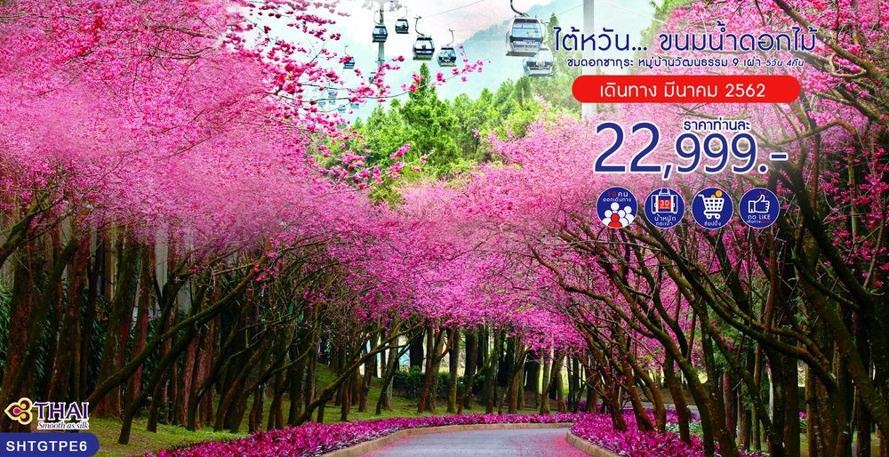 ทัวร์ไต้หวัน ไต้หวัน...ขนมน้ำดอกไม้ ชมดอกซากุระ หมู่บ้านวัฒนธรรม 9 เผ่า 5 วัน 4 คืน (TG)