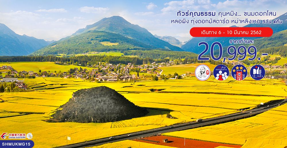 ทัวร์จีน ทัวร์คุณธรรม ทัวร์คุนหมิง...ขนมดอกโสน หลอผิง ทุ่งดอกมัสตาร์ด หม่าหลิงเหอ 5 วัน 4 คืน (MU)