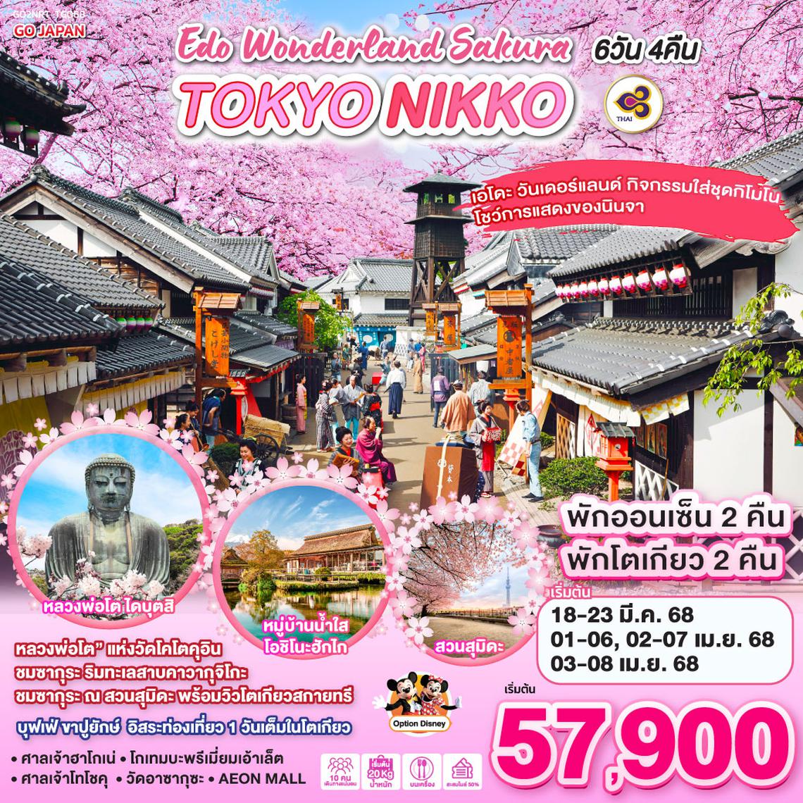 QQGO2NRT-TG068 TOKYO NIKKO EDO WONDERLAND SAKURA 6D 4N  โดยสายการบินไทย [TG]