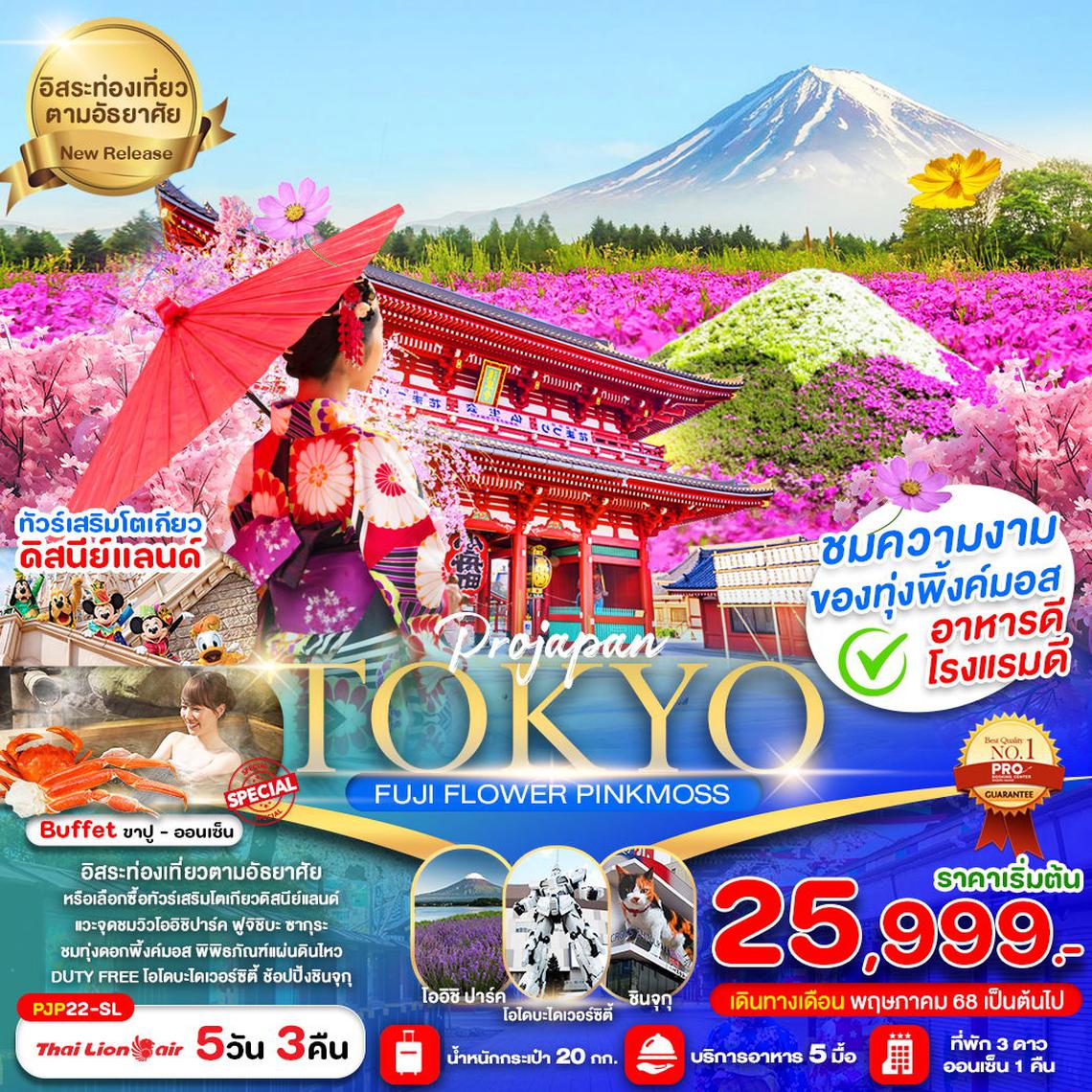 ทัวร์ญี่ปุ่น PRO TOKYO FUJI SNOW WINTER FREE&EASY 5D 3N