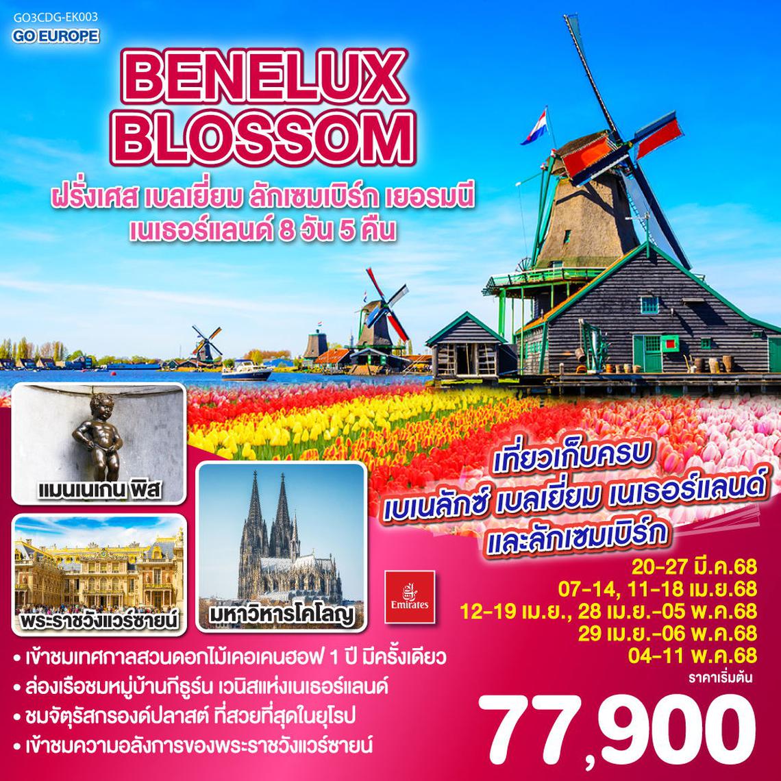 ทัวร์ยุโรป BENELUX BLOSSOM ฝรั่งเศส เบลเยี่ยม ลักเซมเบิร์ก เยอรมนี เนเธอร์แลนด์ 8วัน 5คืน โดยสายการบิน Emirates (EK)