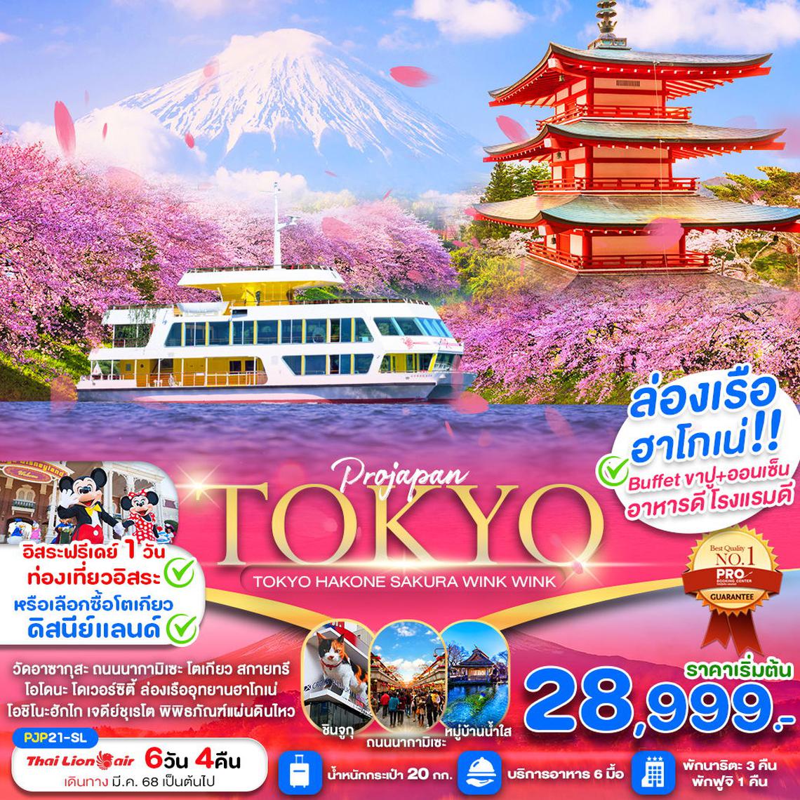 TOKYO HAKONE SAKURA WINK WINK FREE DAY 6D4N