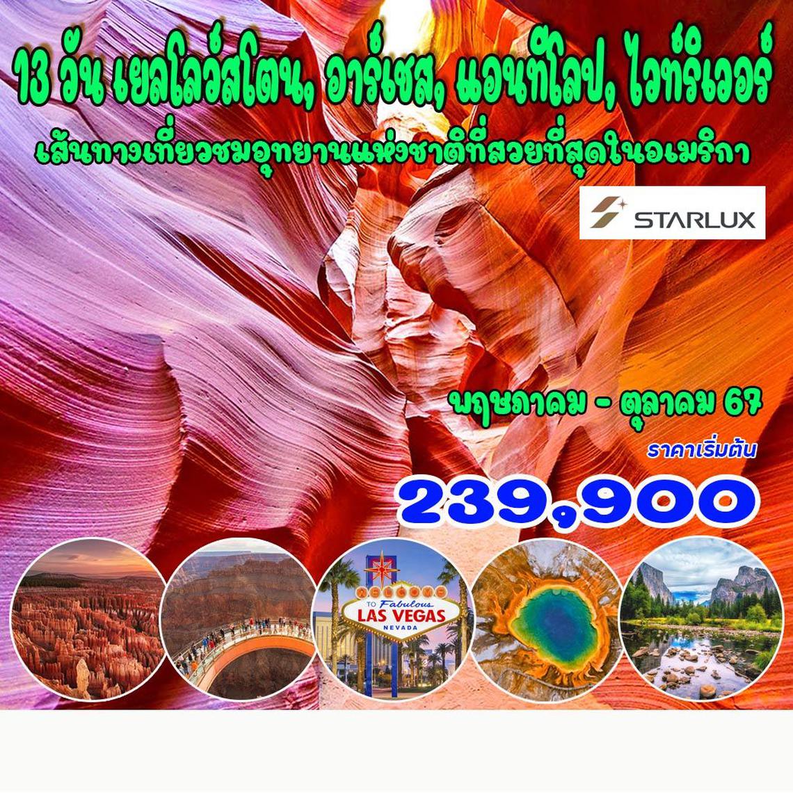 ทัวร์อเมริกา เยลโลว์ สโตน 13 วัน