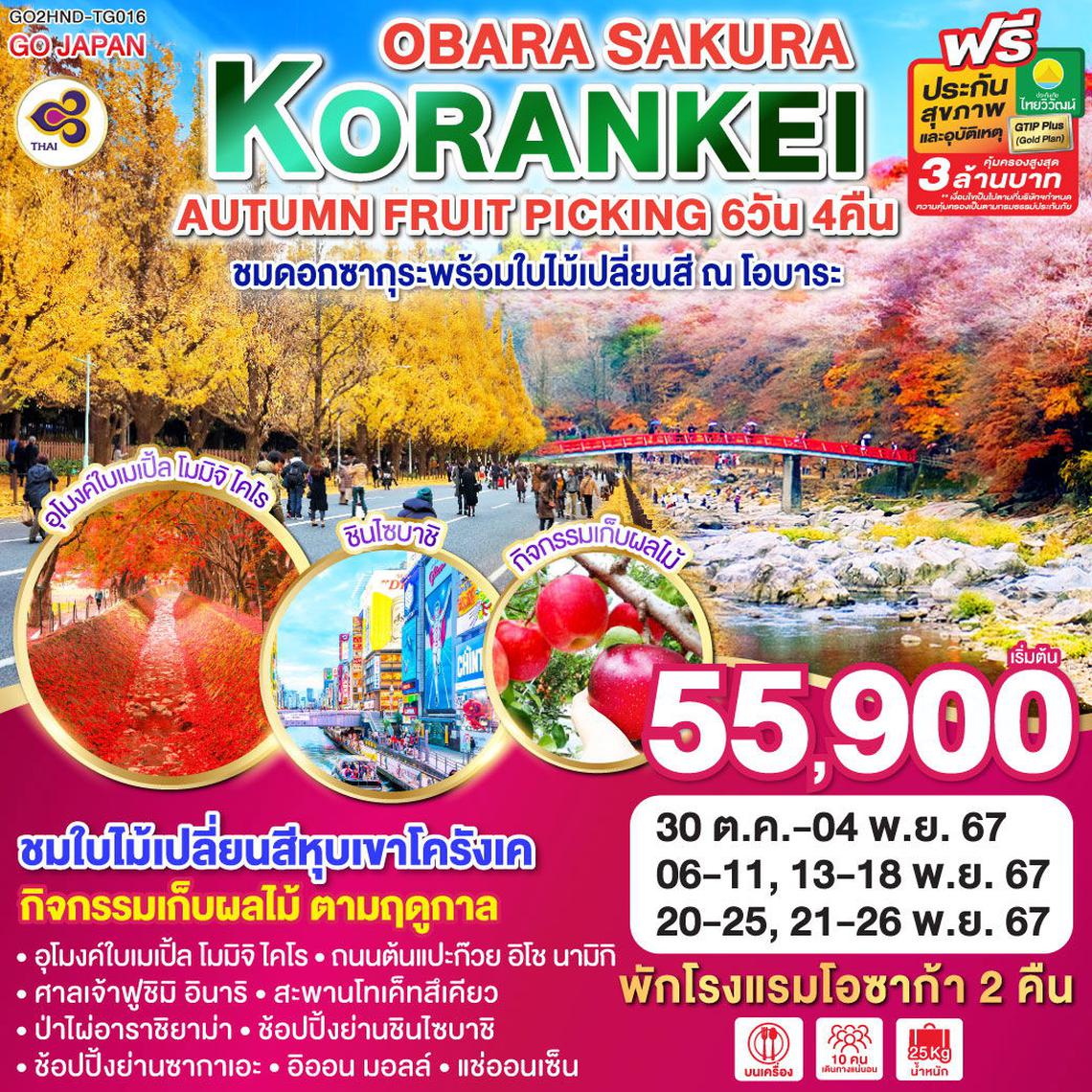 ทัวร์ญี่ปุ่น KORANKEI OBARA SAKURA & AUTUMN FRUIT PICKING 6D 4N