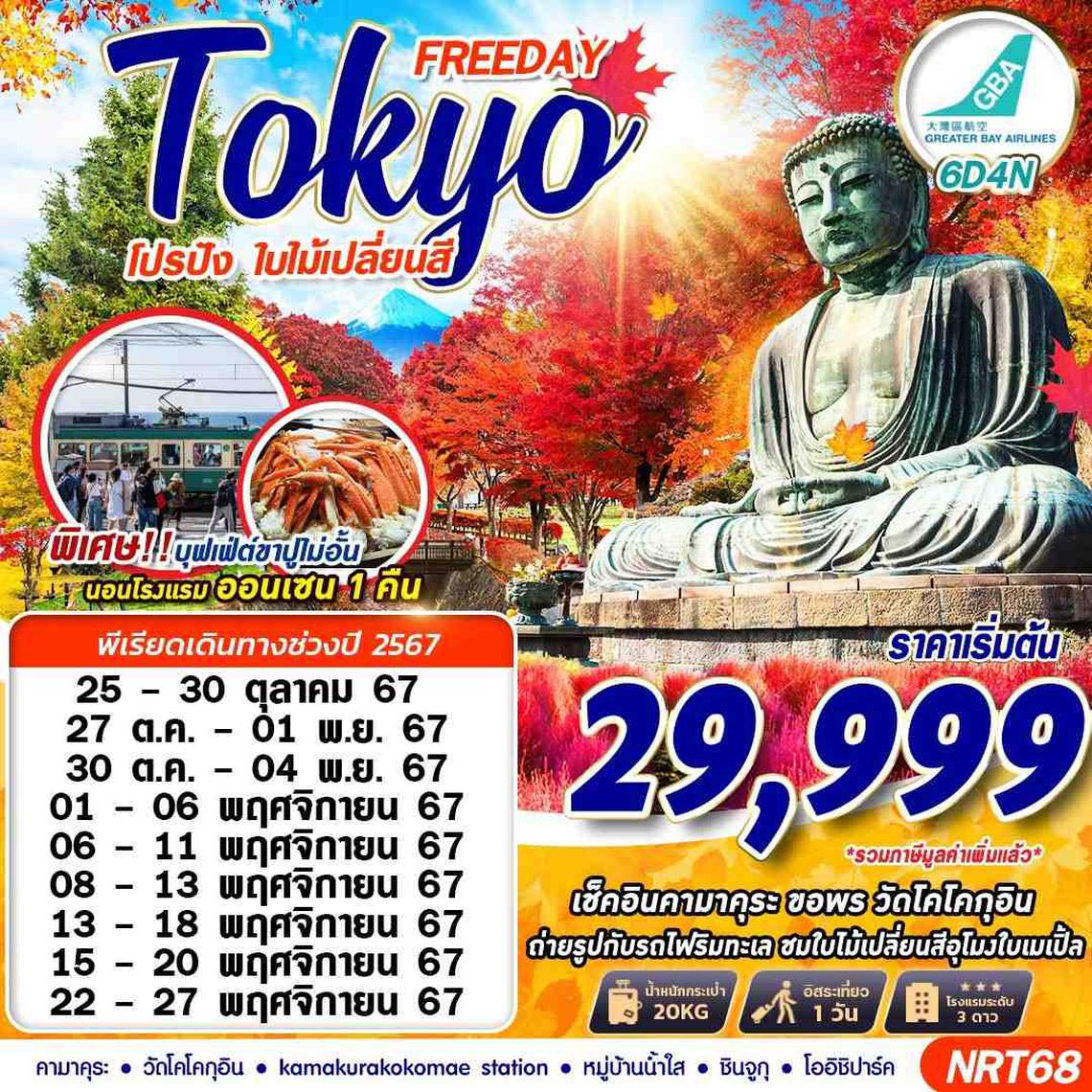 ทัวร์ญี่ปุ่น TOKYO AUTUMN โปรปัง ใบไม้เปลี่ยนสี (FREEDAY) 6D4N