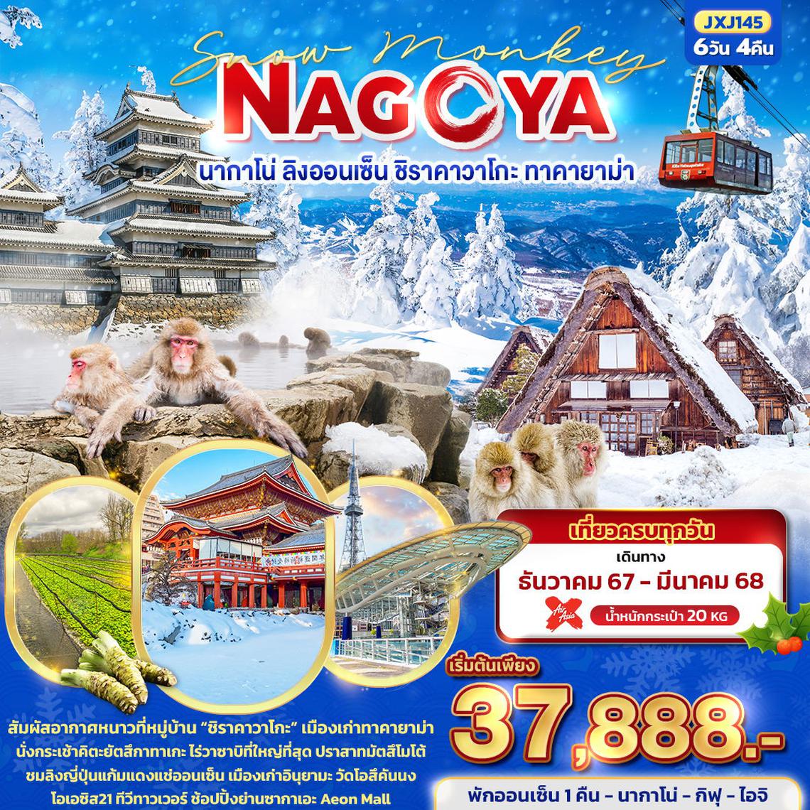 ทัวร์ญี่ปุ่น Snow Monkey NAGOYA นากาโน่ ลิงออนเซ็น ชิราคาวาโกะ ทาคายาม่า 6 วัน 4 คืน