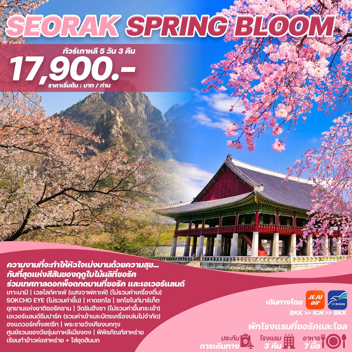 ทัวร์เกาหลี SEORAK SPRING BLOOM