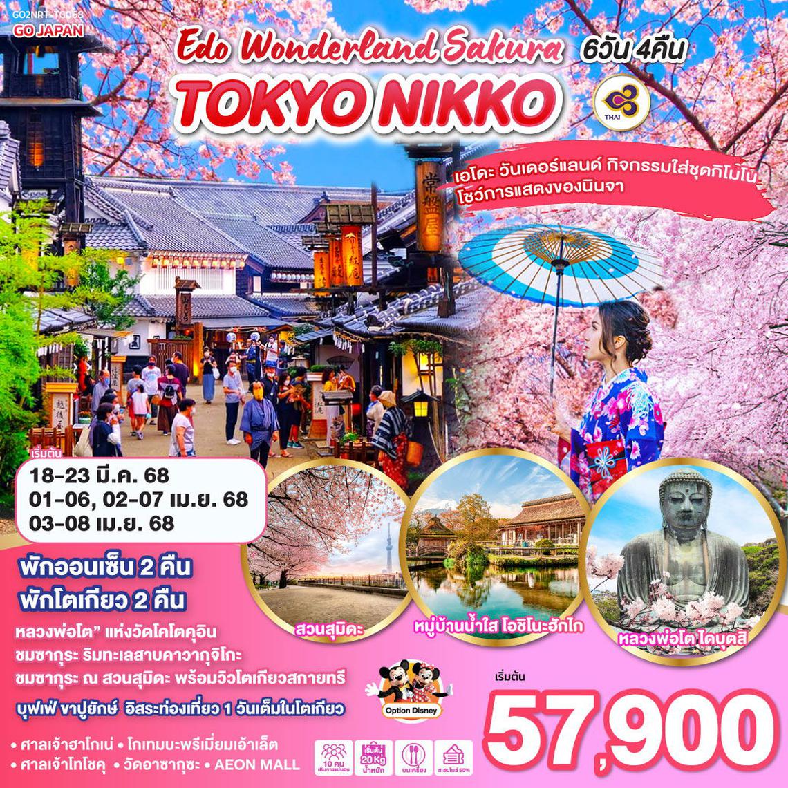 ทัวร์ญี่ปุ่น TOKYO NIKKO EDO WONDERLAND SAKURA 6D 4N