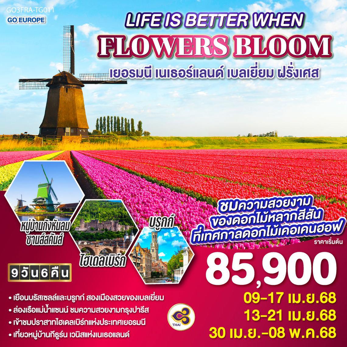 ทัวร์ยุโรป LIFE IS BETTER WHEN FLOWERS BLOOM เยอรมนี เนเธอร์แลนด์ เบลเยี่ยม ฝรั่งเศส 9 วัน 6 คืน