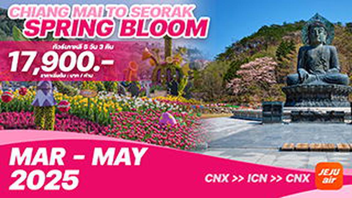 ทัวร์เกาหลีบินตรงเชียงใหม่ - โซล CHIANG MAI TO SEORAK SPRING BLOOM