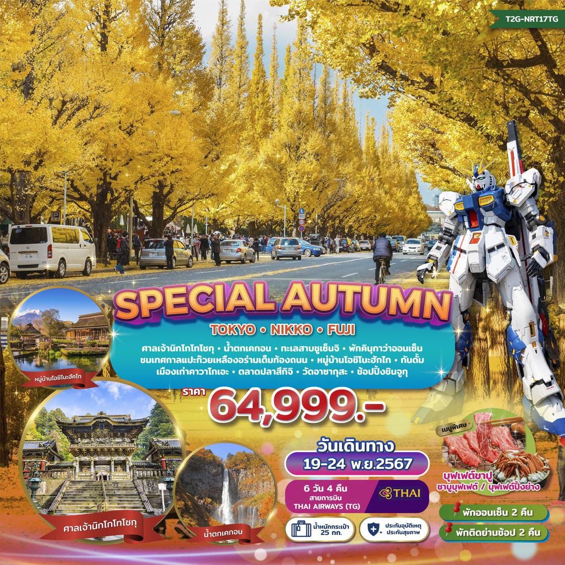 T2G-NRT17TG SPECIAL AUTUMN...TOKYO NIKKO FUJI GINKO FEST 6 วัน 4 คืน (TG)