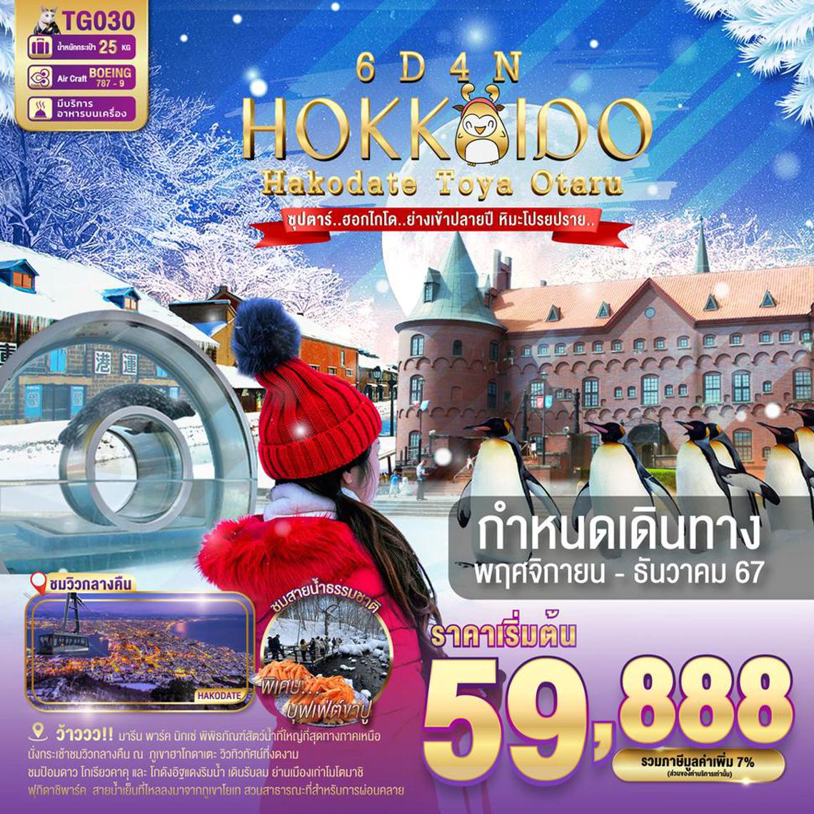 TG030 HOKKAIDO HAKODATE TOYA OTARU 6DAYS 4NIGHTS BY TG -- NOV - DEC'24 -- ซุปตาร์.ฮอกไกโด..ย่างเข้าปลายปี หิมะโปรยปราย.. ProgramId:204