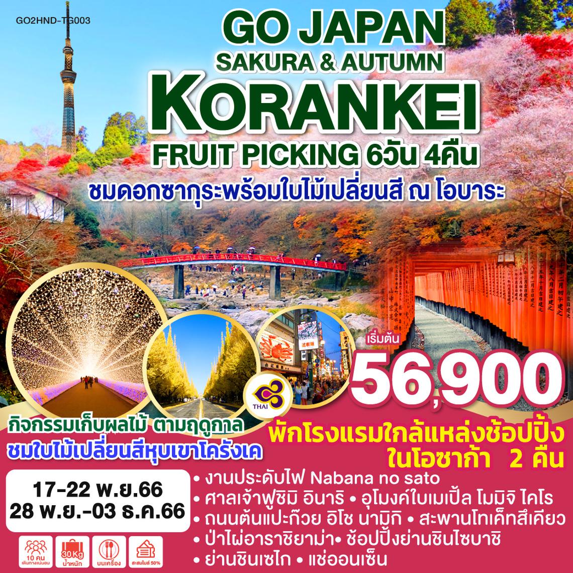 KORANKEI SAKURA & AUTUMN FRUIT PICKING 6D 4N โดยสายการบินไทย [TG]