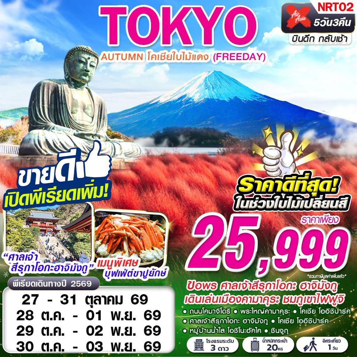 NRT02 XJ DMK TOKYO AUTUMN โคเชียใบไม้แดง (ฟรีเดย์)