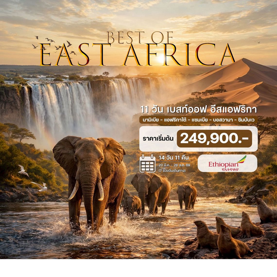 11 วัน เบสท์ออฟ อีสแอฟริกา