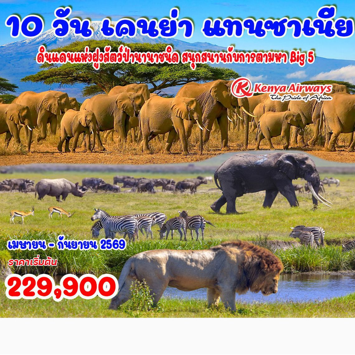 10 วัน เคนย่า แทนซาเนีย