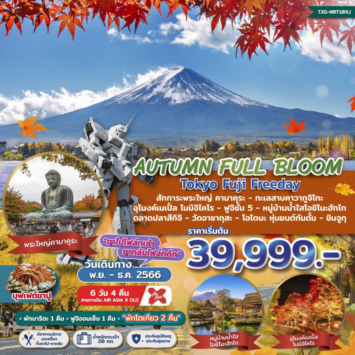 ทัวร์AUTUMN FULL BLOOM TOKYO FUJI FREEDAY 6D 4N