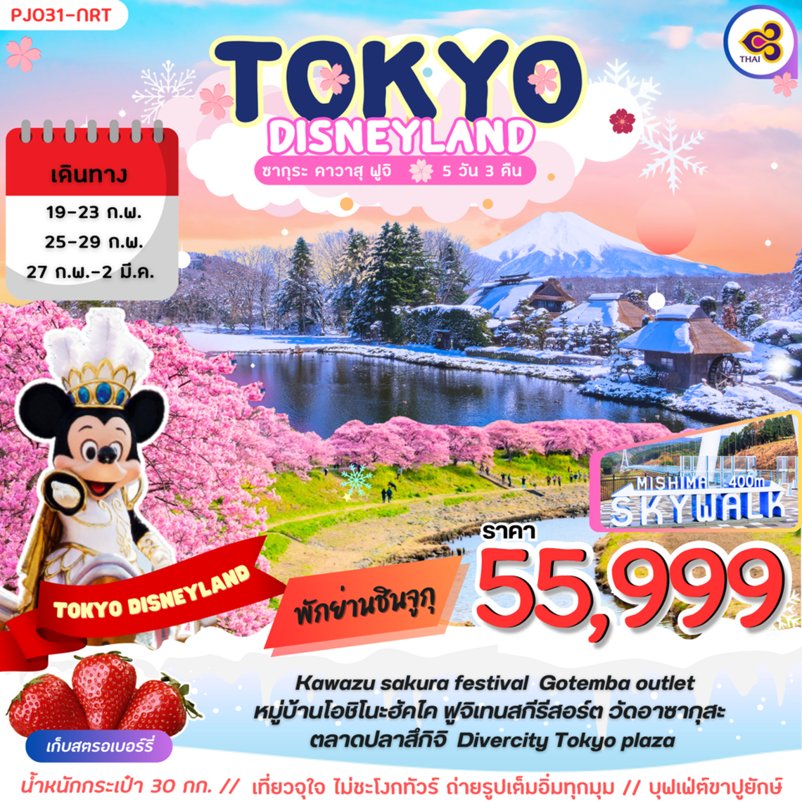 ทัวร์ญี่ปุ่น TOKYO DISNEYLAND ซากุระ คาวาสุ การบินไทย 5 วัน 3 คืน