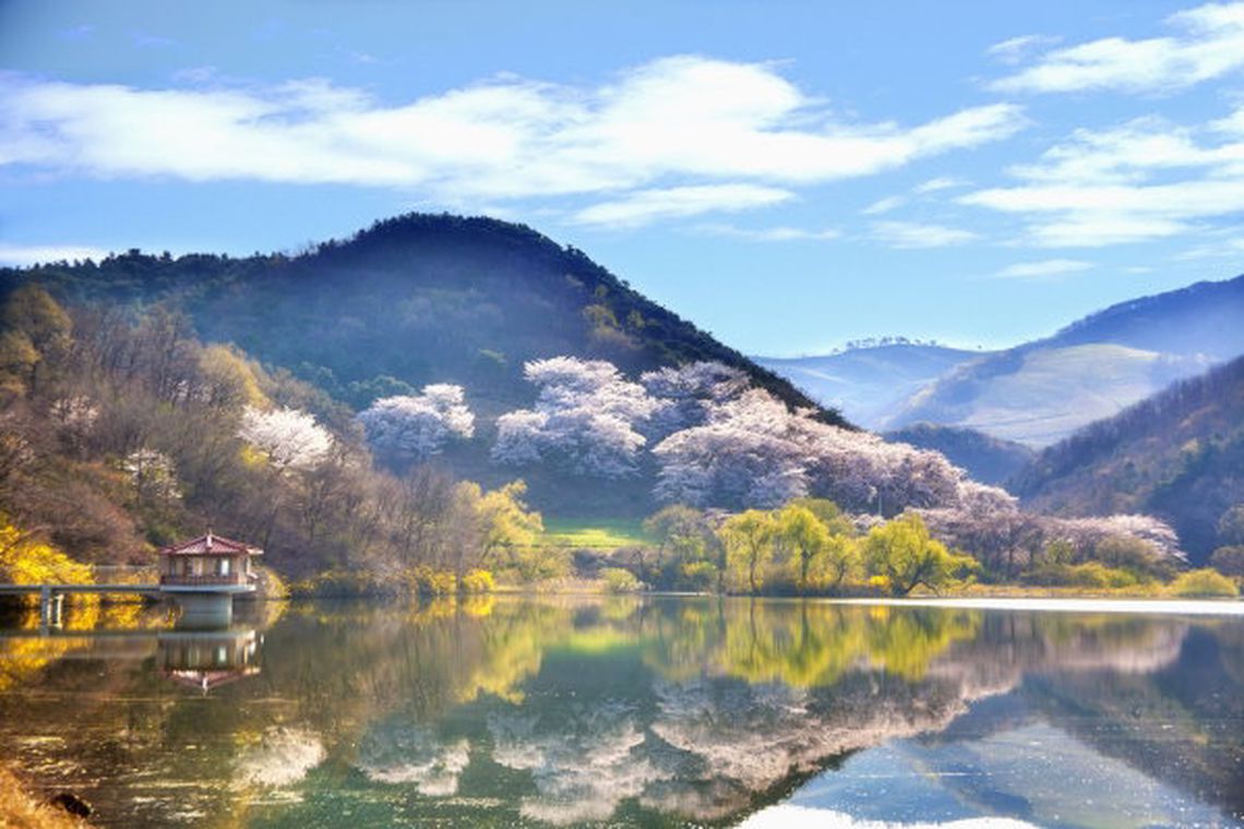 JK76    5D3N Gyeongju BUSAN Yeosu Blooms (Apr-Jun25)