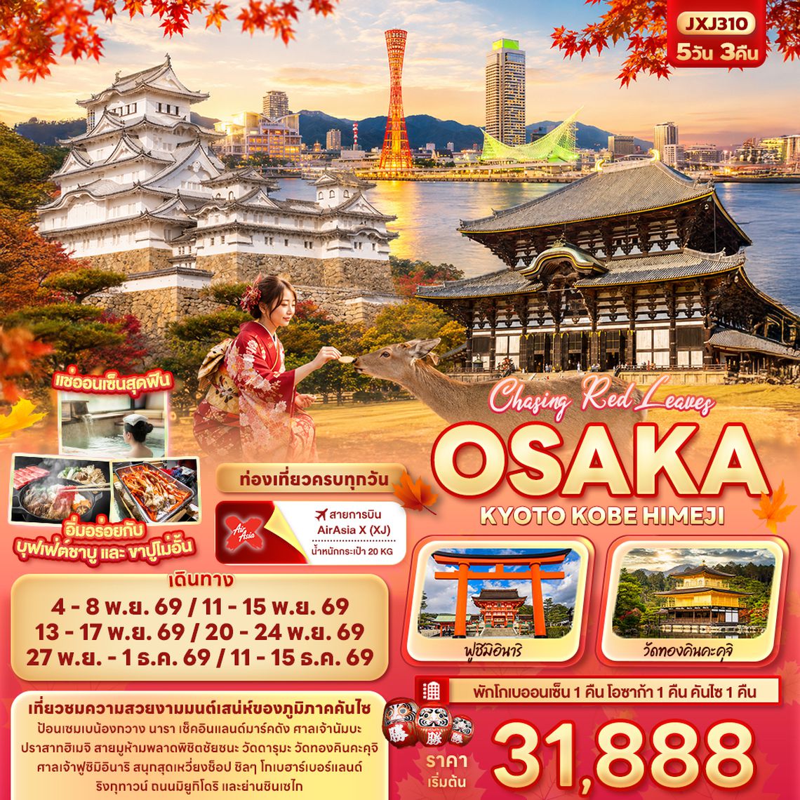 JXJ310 Chasing Red Leaves OSAKA  KYOTO KOBE HIMEJI