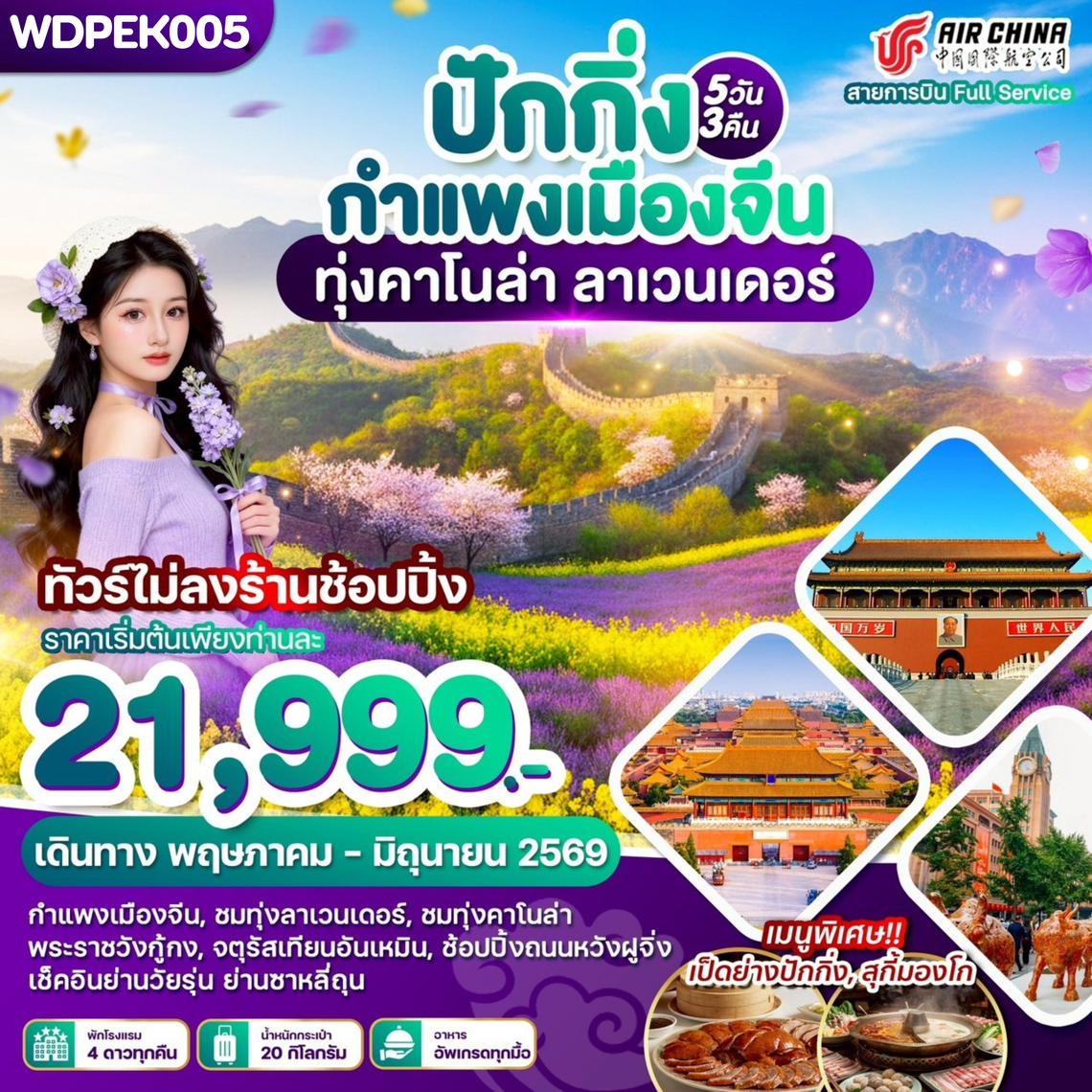 WDPEK005 ปักกิ่ง กำแพงเมืองจีน ทุ่งคาโนล่า ลาเวนเดอร์ 5วัน3คืน บิน CA