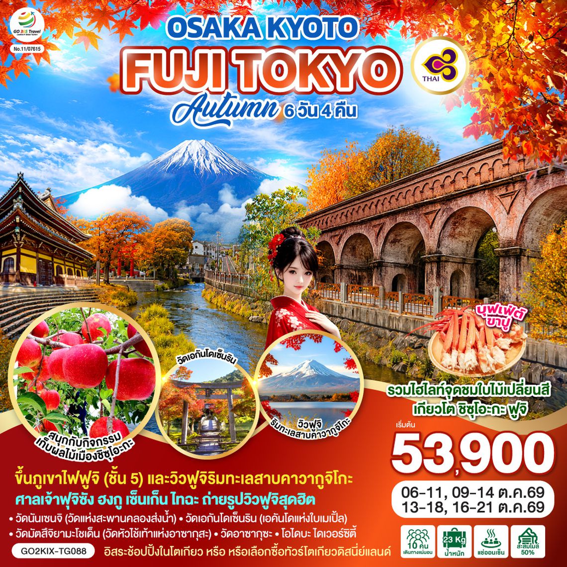 GO2KIX-TG088 OSAKA KYOTO FUJI TOKYO  AUTUMN FRUIT PARK  6D 4N โดยสายการบินไทย [TG]