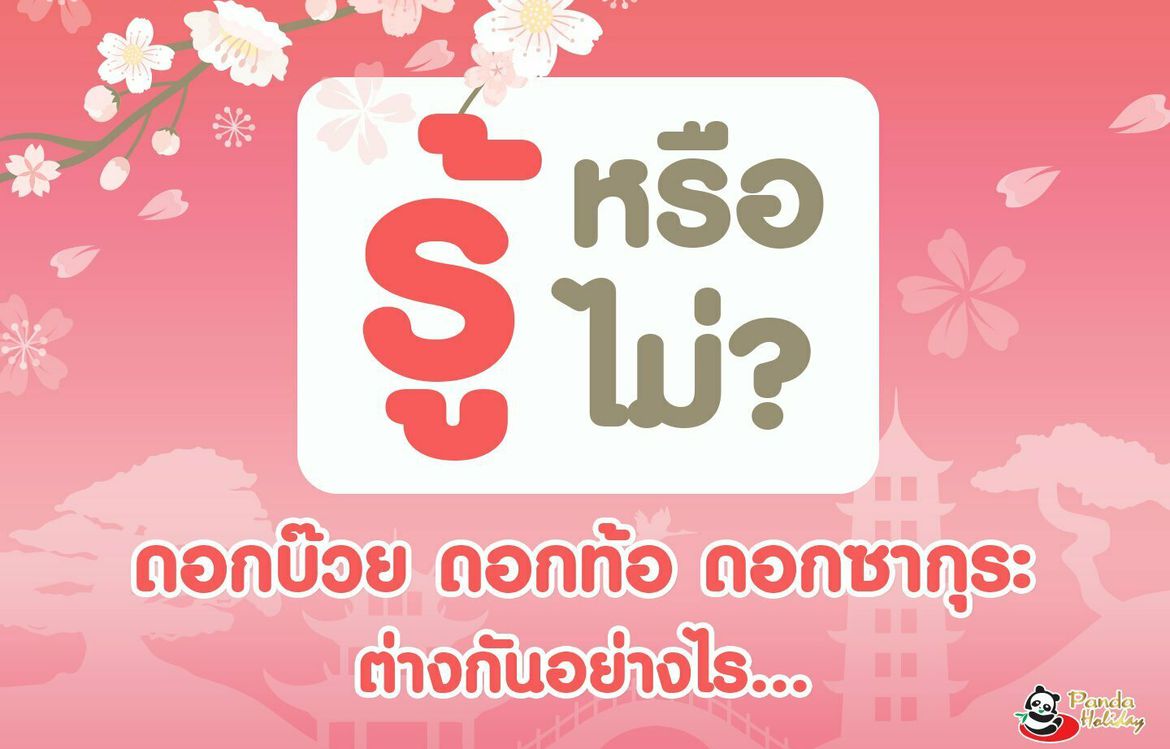 รู้หรือไม่? ดอกบ๊วย ดอกท้อ ดอกซากุระ ต่างกันอย่างไร? มาไขข้อข้องใจกัน!
