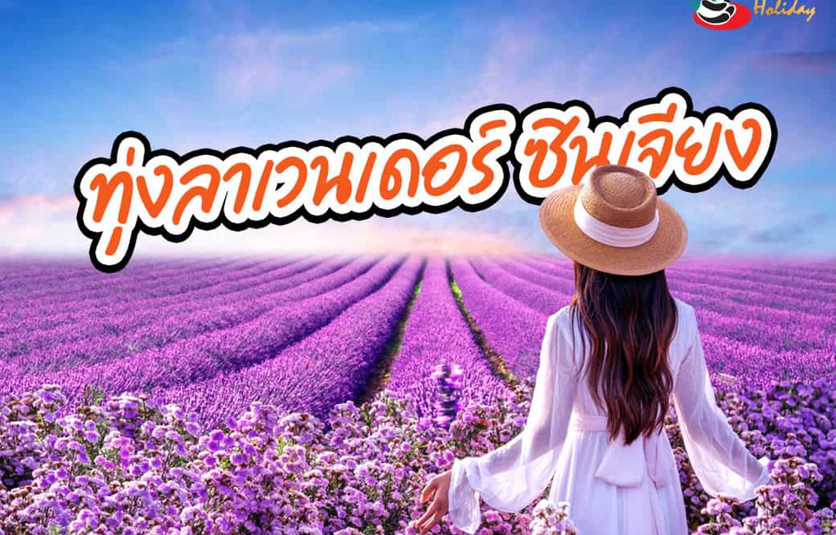 อุทยานทะเลดอกไม้เทียนซาน หรือที่รู้จักกันในชื่อ ทุ่งลาเวนเดอร์ซินเจียงเหนือ!