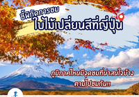 ชี้พิกัดการชมใบไม้เปลี่ยนสีที่ญี่ปุ่น 🗾