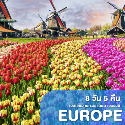 ทัวร์ยุโรป EUR43A Tulip เยอรมัน เนเธอร์แลนด์ เบลเยี่ยม