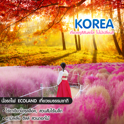 ทัวร์เกาหลี Jeju Gold Package เที่ยวเชจู สีสันสดใส ใบไม้เปลี่ยนสี 