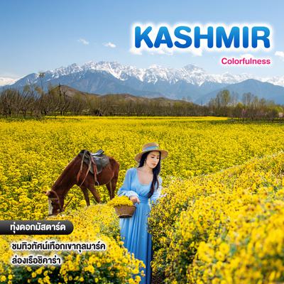 ทัวร์แคชเมียร์ Colorfulness