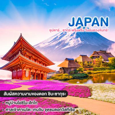 ทัวร์ญี่ปุ่น Tokyo Fuji Shibazakura Freeday ซุปตาร์...ซากุระฟรุ้งฟริ้ง วิ้งยันดวงจันทร์!