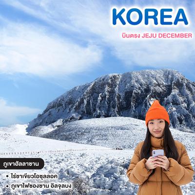 ทัวร์เกาหลี บินตรง JEJU DECEMBER