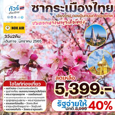 ทัวร์เที่ยวไทย ซากุระเมืองไทย เชียงใหม่ ดอยอินทนนท์ ดอยสุเทพ 3วัน2คืน ลดเหลือ 5,399.- เดินทาง ม.ค.65 บินDD