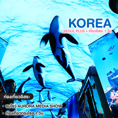 ทัวร์เกาหลี SEOUL PLUS+ เที่ยวอิสระ 1 วัน +