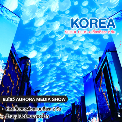 ทัวร์เกาหลี SEOUL PLUS + เที่ยวอิสระ 2 วัน