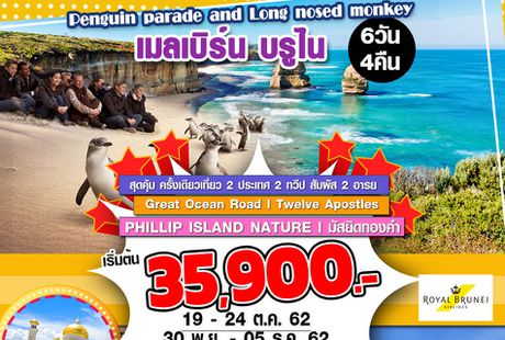 ทัวร์ออสเตรเลีย Penguin parade and Long nosed monkey เมลเบิร์น บรูไน 6DAYS 4NIGHTS (BI)