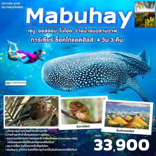 QQGO1CEB-5J101 GO Philippines Mabuhay เซบู  ออสลอบ โบโฮล ว่ายน้ำกับฉลามวาฬ ชมทาร์เซียร์ ช็อคโกแลตฮิลส์  4วัน3คืน โดยสายการบิน Cebu Pacific (5J)