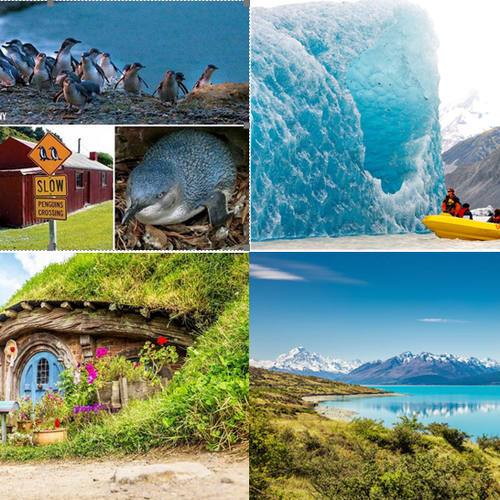 12 วัน เบสท์ ออฟ นิวซีแลนด์ เกาะเหนือ – ใต้ 