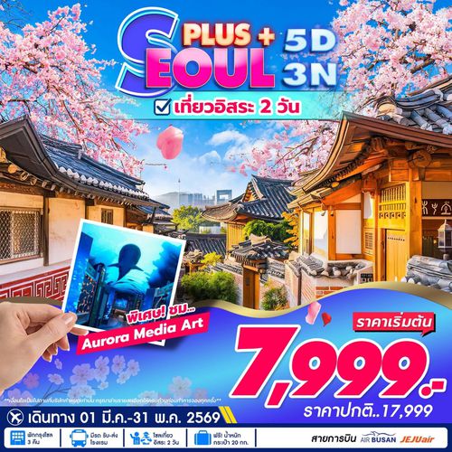 ทัวร์เกาหลี Seoul Plus สวนสนุกล็อตเต้เวิลด์  5D3N 