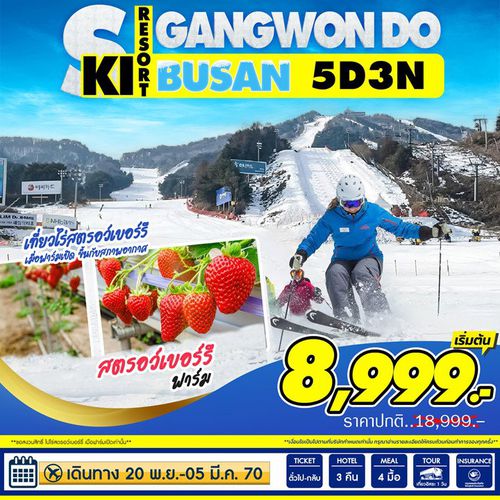 ทัวร์เกาหลี Busan Ski Gangwondo 5วัน3คืน