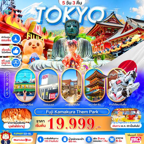 ทัวร์ญี่ปุ่น PJPNRT22-SL TOKYO FUJI KAMAKURA THEM PARK FULL DAY 5D3N