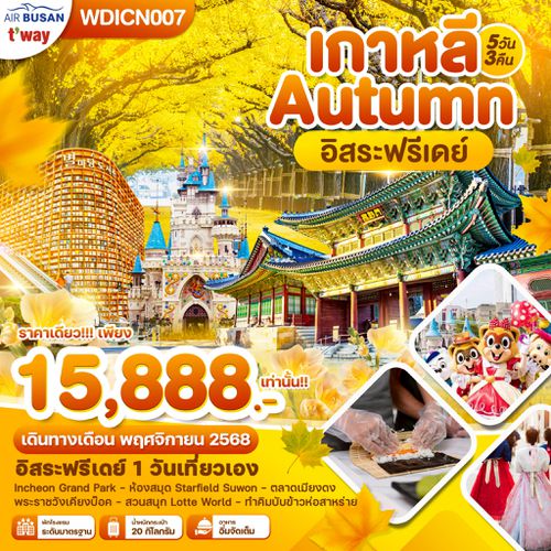 WDICN007 เกาหลี Autumn อิสระฟรีเดย์ 5วัน 3คืน