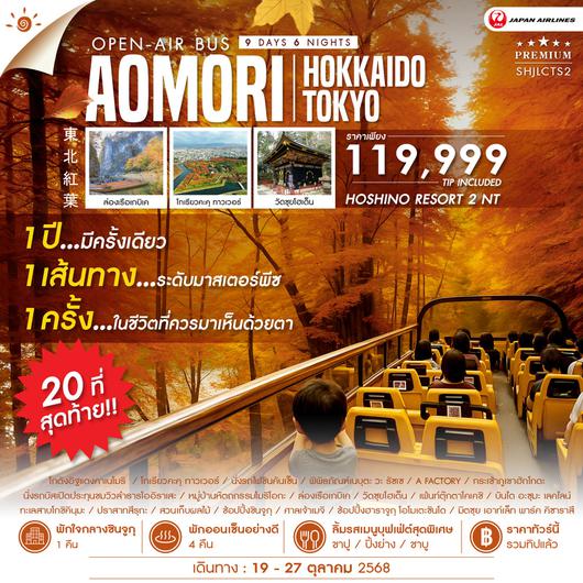  ทัวร์ AMAZING OPEN-AIR BUS TOHOKU TOKYO 9 วัน 6 คืน (JL)