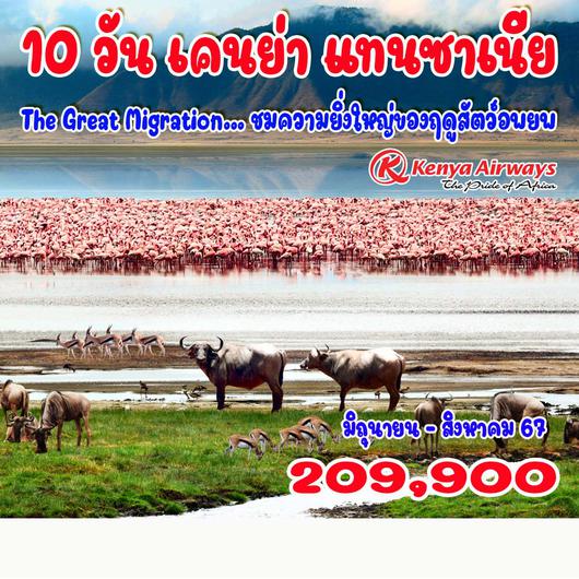 10 วัน เคนย่า แทนซาเนีย (The Great Migration)