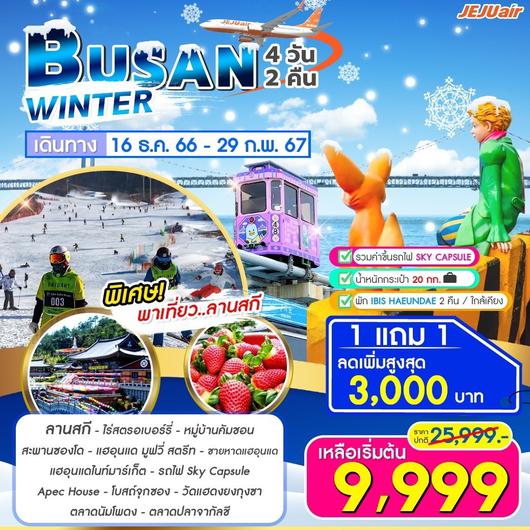 Busan Winter  4D2N by 7C
