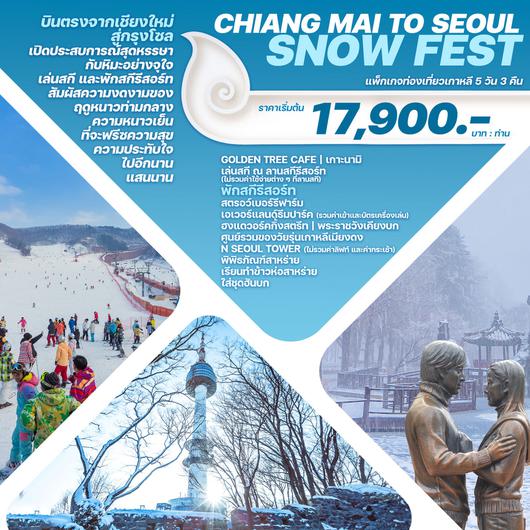 CHIANG MAI TO SEOUL SNOW FEST 5D3N by 7C (บินตรงจากเชียงใหม่)