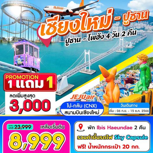 เชียงใหม่-ปูซาน ปูซาน-โพฮัง 4D2N by 7C (บินตรงเชียงใหม่)